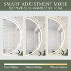 Miroir de salle de bain LED 32 pouces avec commande tactile intelligente, miroir de courtoisie dimmable anti-buée, mural/à brancher, verre HD